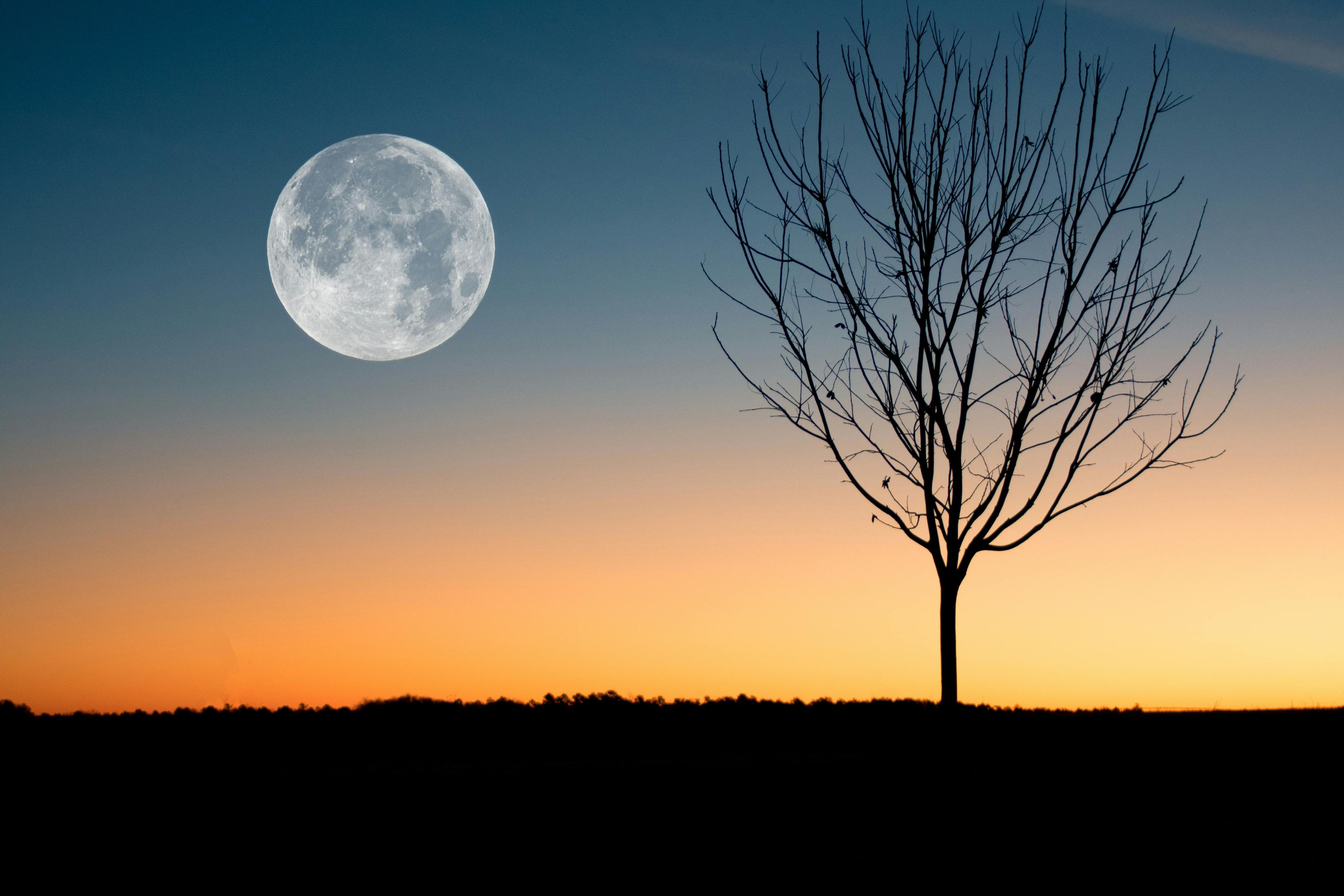 Moon Rising In Evening
